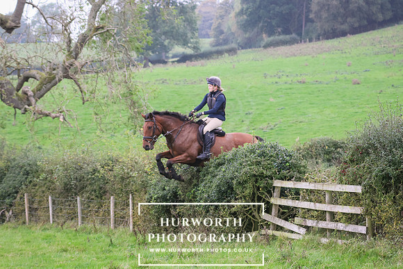 Hedge Hop 446