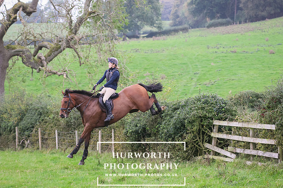 Hedge Hop 448