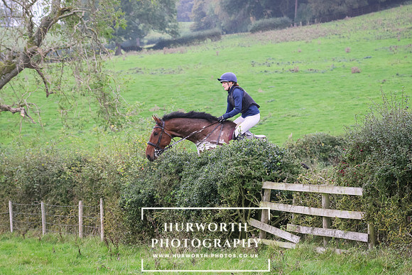 Hedge Hop 449