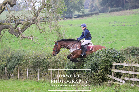 Hedge Hop 450