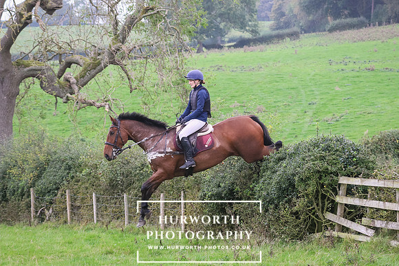 Hedge Hop 451