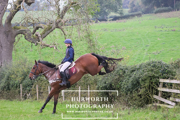 Hedge Hop 452