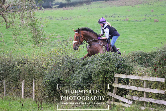 Hedge Hop 453