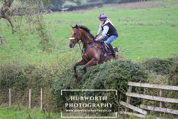 Hedge Hop 454