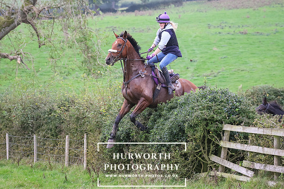 Hedge Hop 455
