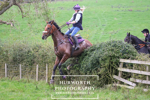Hedge Hop 456