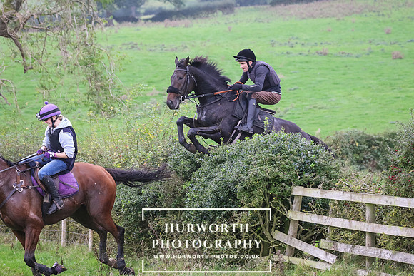 Hedge Hop 457