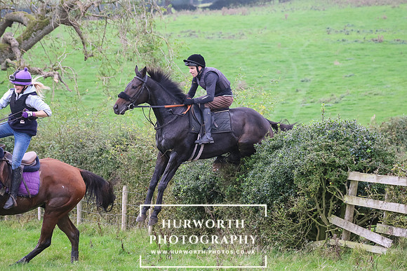 Hedge Hop 459