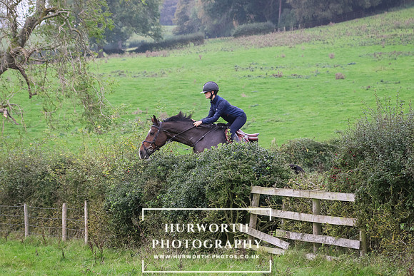 Hedge Hop 461