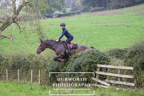 Hedge Hop 462