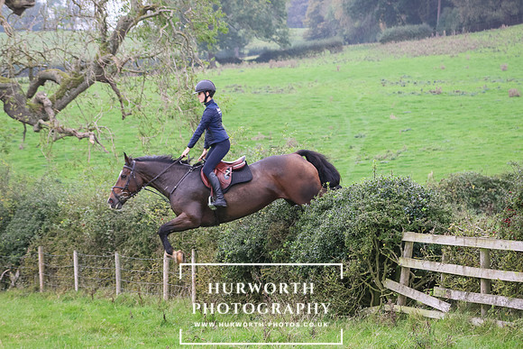 Hedge Hop 463