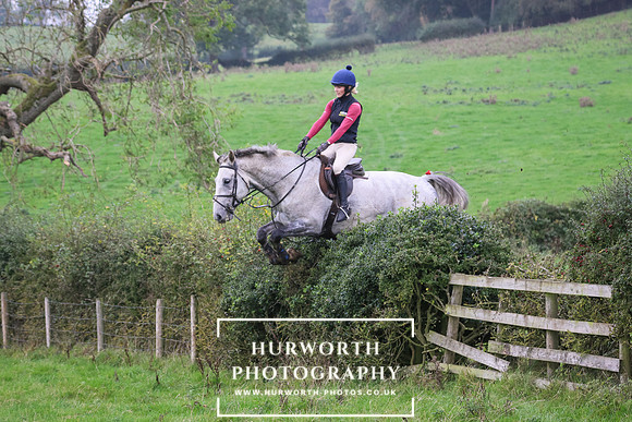 Hedge Hop 465