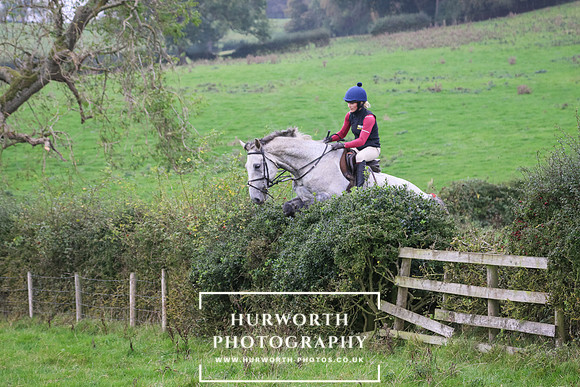 Hedge Hop 464