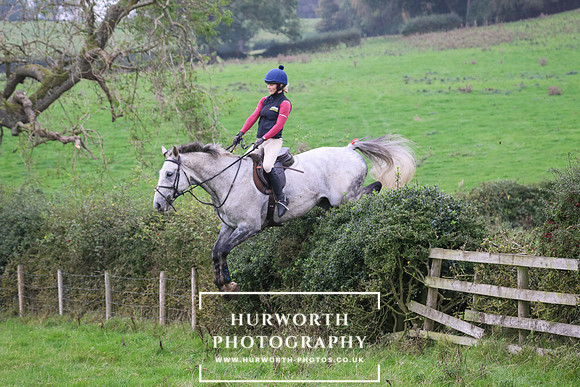 Hedge Hop 466