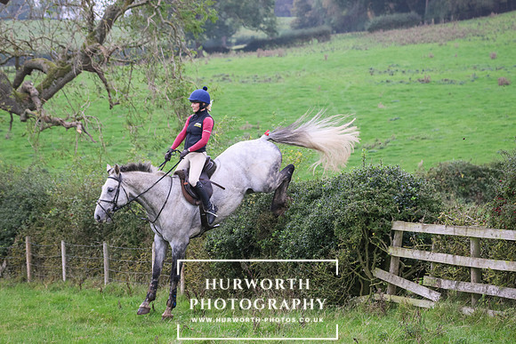 Hedge Hop 467