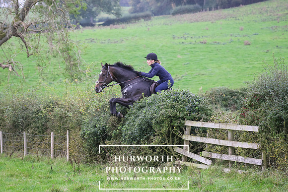 Hedge Hop 468