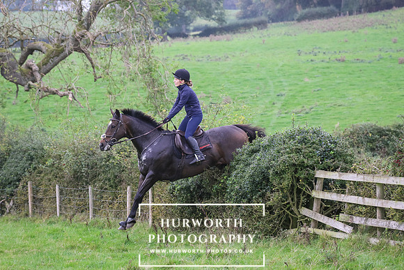 Hedge Hop 470