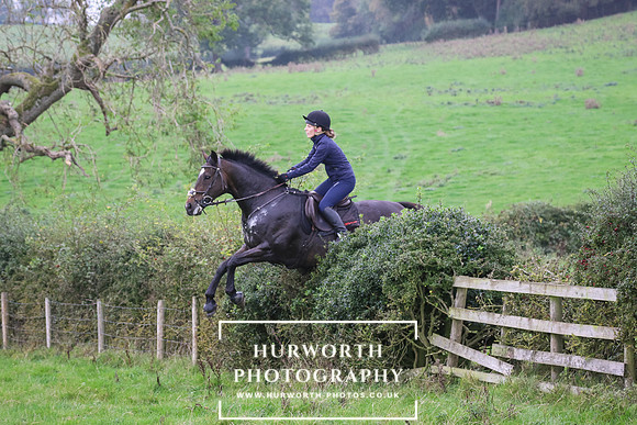 Hedge Hop 469