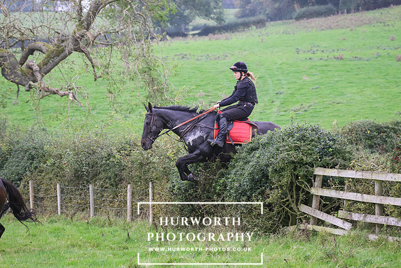 Hedge Hop 472