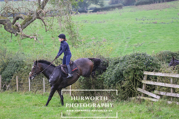 Hedge Hop 471