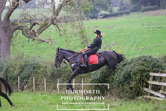 Hedge Hop 473
