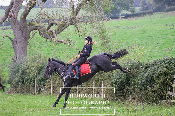 Hedge Hop 474