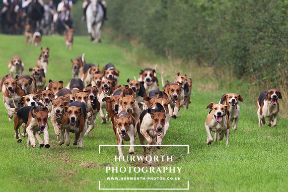 Hurworth Hunt 427