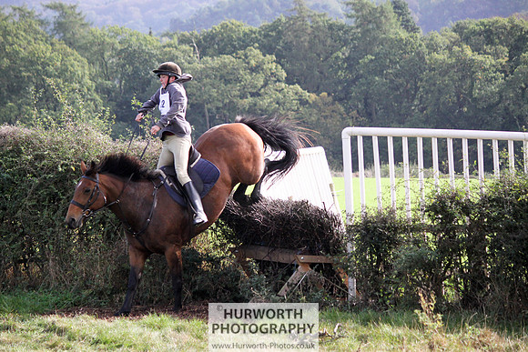 Hurworth Bilsdale Hedge Hop 577