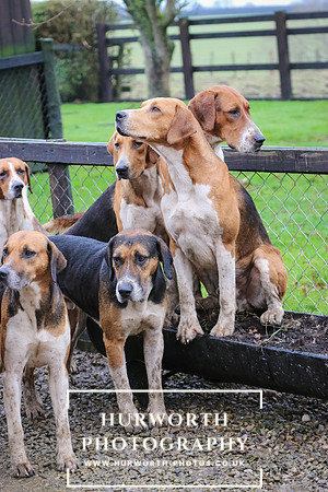 Hurworth Hunt 062