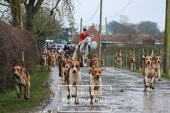Hurworth Hunt 086