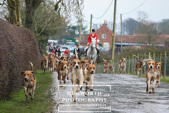 Hurworth Hunt 083