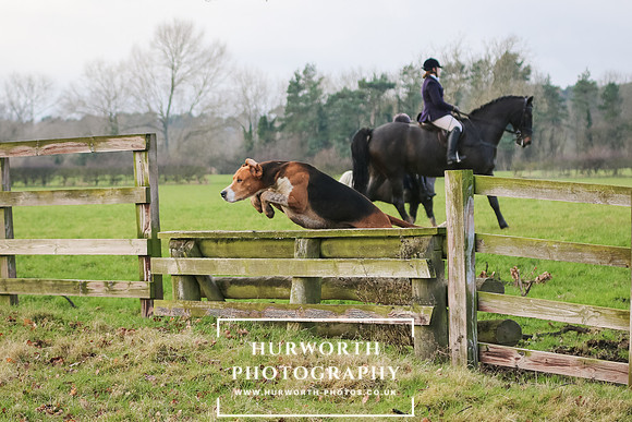 Hurworth Hunt 224