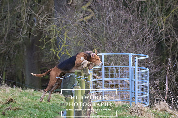 Hurworth Hunt 286