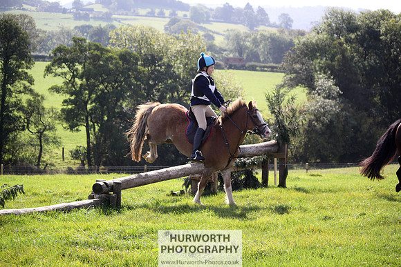 Hurworth Bilsdale Hedge Hop 293