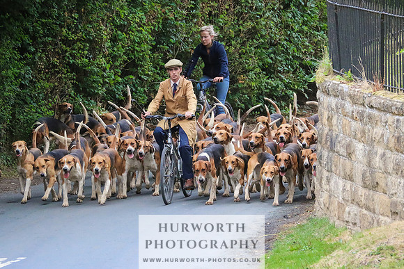 Hurworth Hunt 018