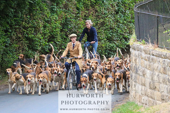 Hurworth Hunt 017