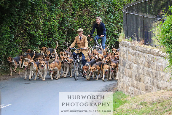 Hurworth Hunt 016