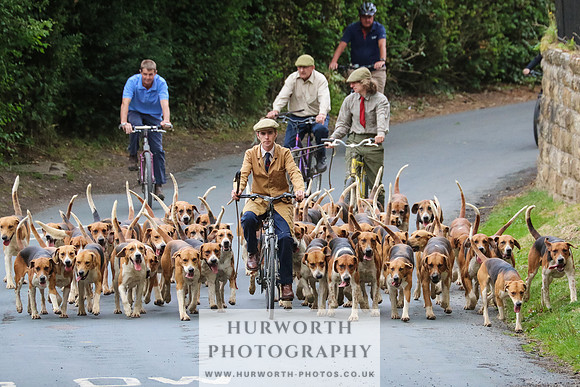 Hurworth Hunt 026