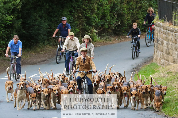 Hurworth Hunt 030
