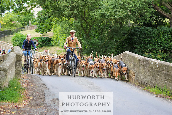 Hurworth Hunt 035