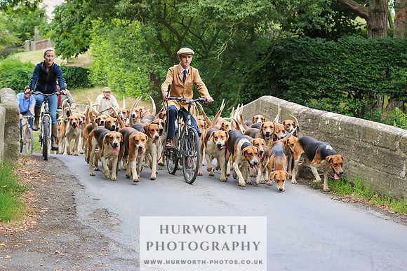 Hurworth Hunt 037