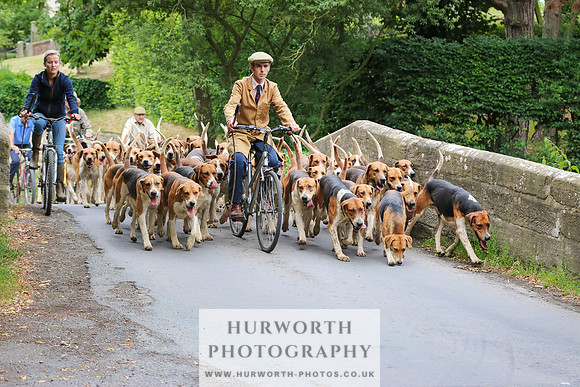 Hurworth Hunt 038