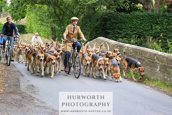 Hurworth Hunt 039