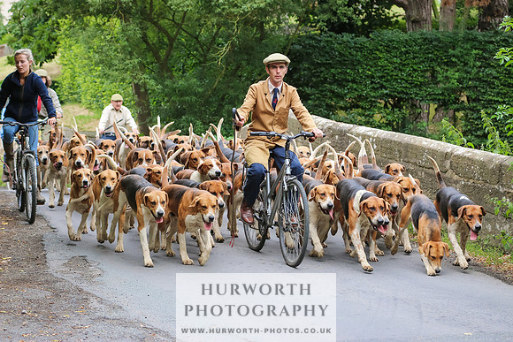 Hurworth Hunt 040