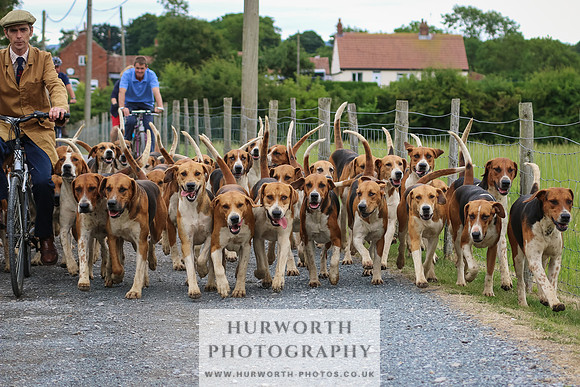 Hurworth Hunt 013