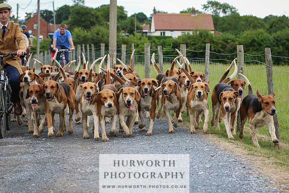 Hurworth Hunt 014