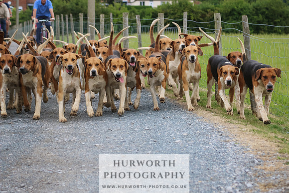 Hurworth Hunt 015