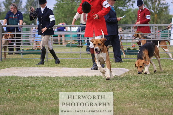 Hurworth Hunt 001