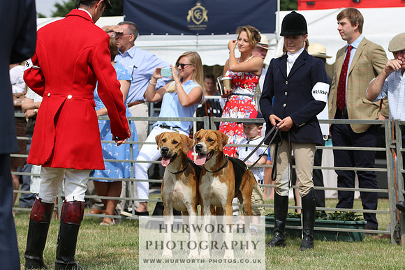 Hurworth Hunt 010