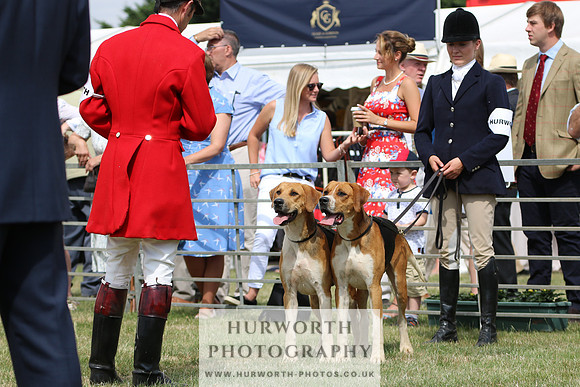 Hurworth Hunt 011